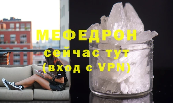 гашик Ельня