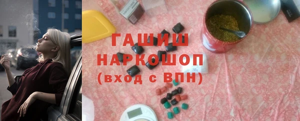 гашик Ельня