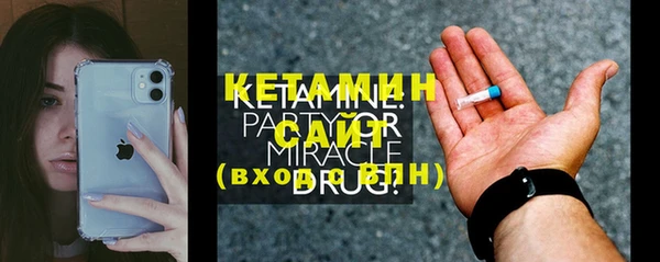 гашик Ельня