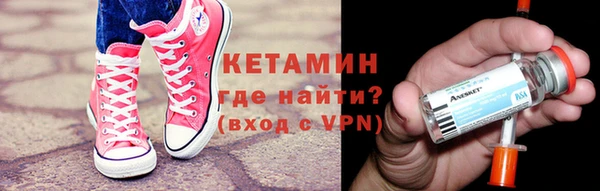 гашик Ельня