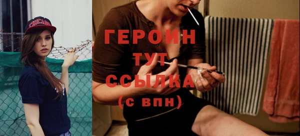 гашик Ельня