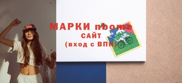 гашик Ельня