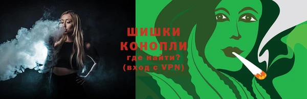 гашик Ельня
