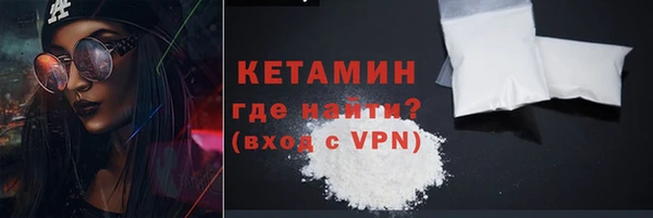 гашик Ельня