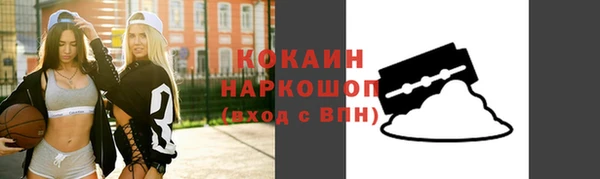 гашик Ельня