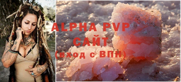 гашик Ельня