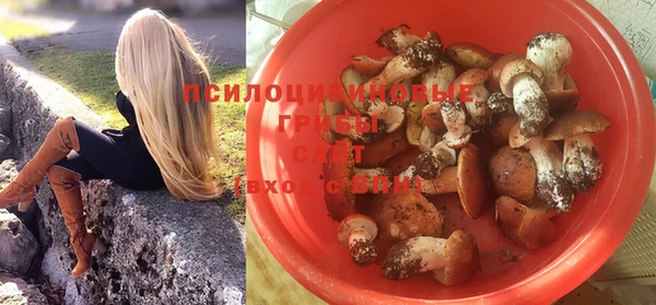гидропоника Елизово