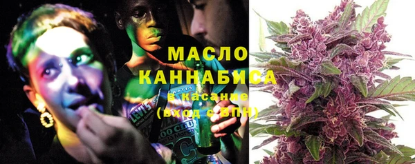 мет Елабуга