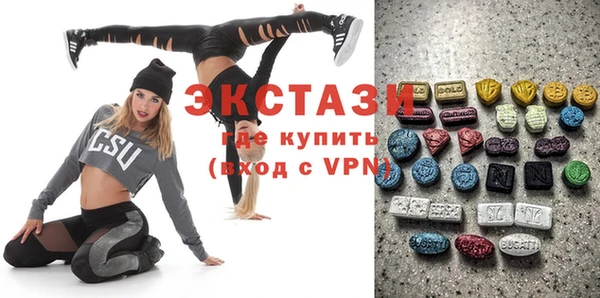 гашик Ельня