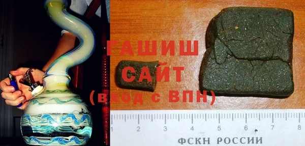 гашик Ельня