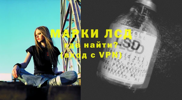 гашик Ельня