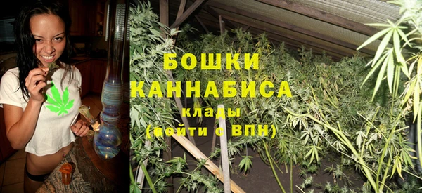 гашик Ельня