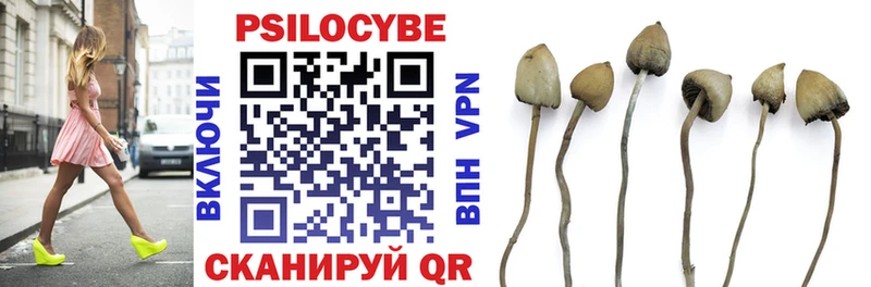 Псилоцибиновые грибы мицелий  Карабулак 